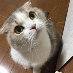 yun