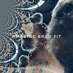 Amazing Brad Fit