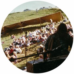 Træstock Festival 1981