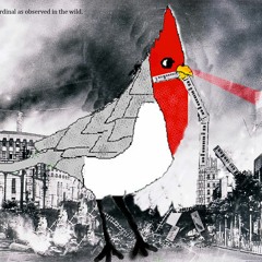 pekbro