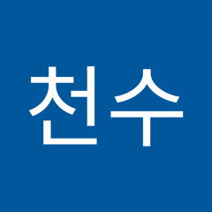 이천수