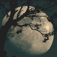 Old Wanderlux Account