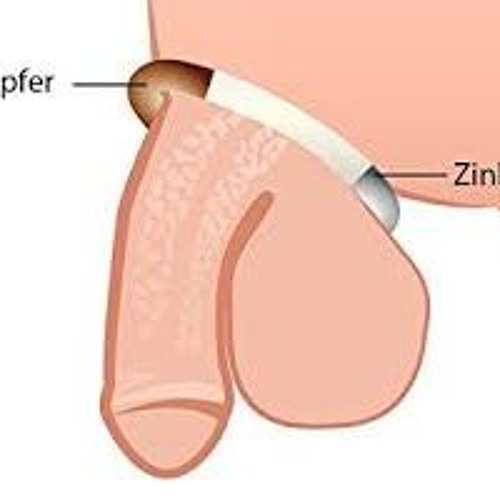Amateur sex wien