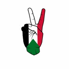 🇸🇩