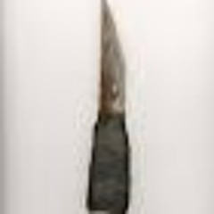 Rusty Shank