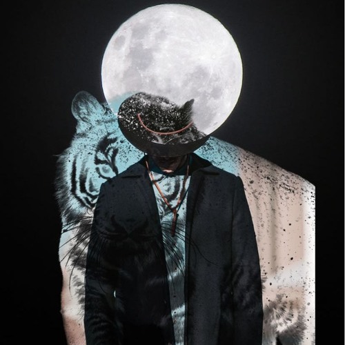 Berk Boyacigil’s avatar