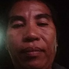 slyn pilarta
