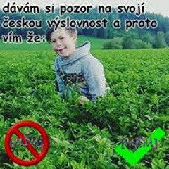 anoo