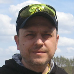 Zaanle