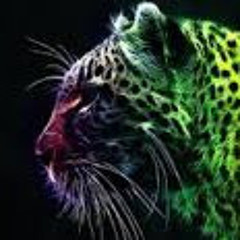Tahir Boss