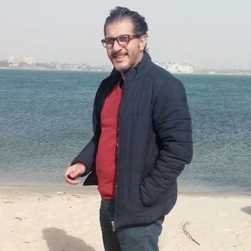 Mohamed Ragab Amer’s avatar
