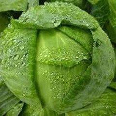 WetCabbages