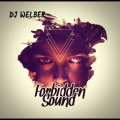 DJ WELBER