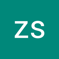 zsolt csiki