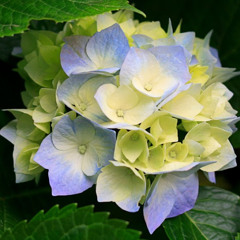 Tâm Sự Kinh Doanh