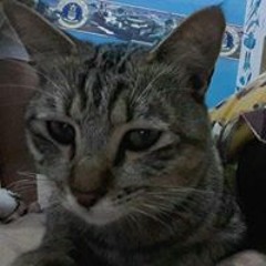 Yudhit22