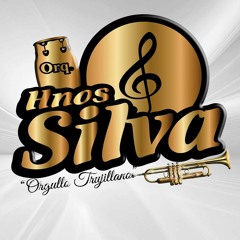 Orquesta Hnos Silva