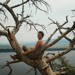 Jocelyn Diles