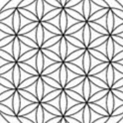 Héctor Andrés Cantú