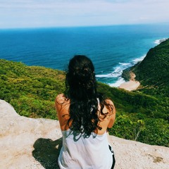 Shaked aricha levi