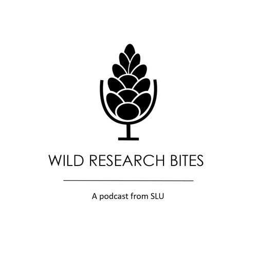 Wild Research Bites - a podcast from SLU’s avatar