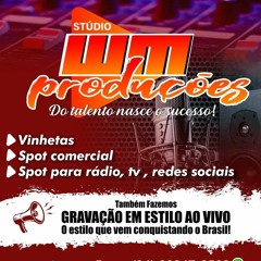 wm produçoes