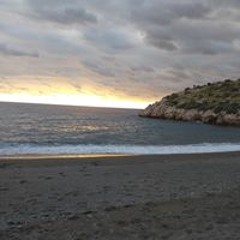 noura