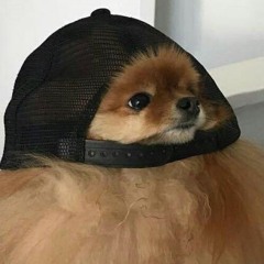 Ptenko