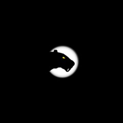 Fluffy_Snaffi