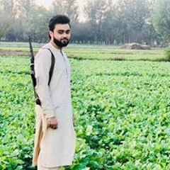 Junaid Khan