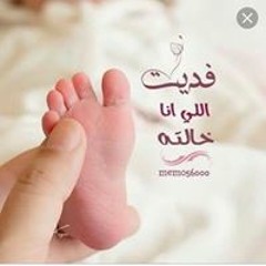 Noor Mohamed Hanan Sakr