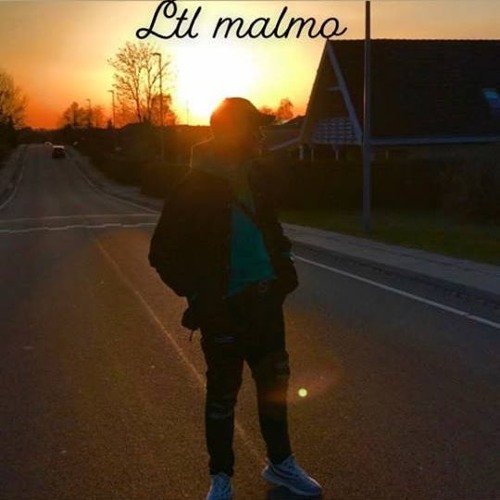 LTL MALMO’s avatar