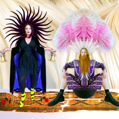 Hair and Space Museum