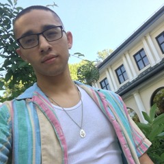 Dominic Stecklein