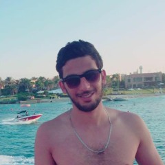 Ahmed Selim EL WAZAN