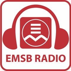 Terry Haig talks to Mitch Melnick about EMSB French Campaign (TSN 690)