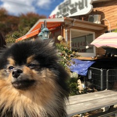 Intan Rahayu Ning Tiyas