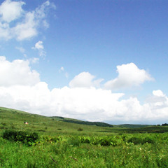 akson