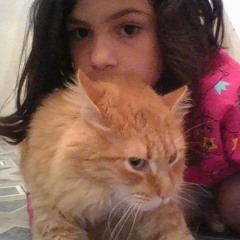 Kitty Kat's Instagram, Twitter & Facebook on IDCrawl