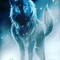Sno Wolf