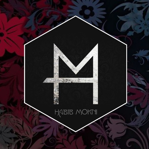 Habib Mokni’s avatar