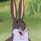dlook