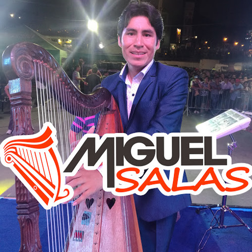 Miguel Salas (ARTISTA)’s avatar