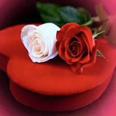 User 842150