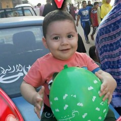 mohamed habib abo hamza