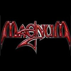 MAGNUM SOUND