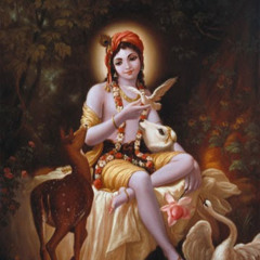 Sai Likith
