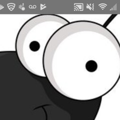 Little Ant