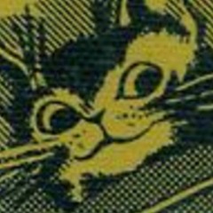 She Doesn't Even Like Music