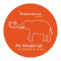 Elephant Journal: The Mindful Life